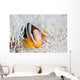 Clark's Anemonefish Swims among Wall Decal
