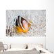 Clark's Anemonefish Swims among Wall Decal