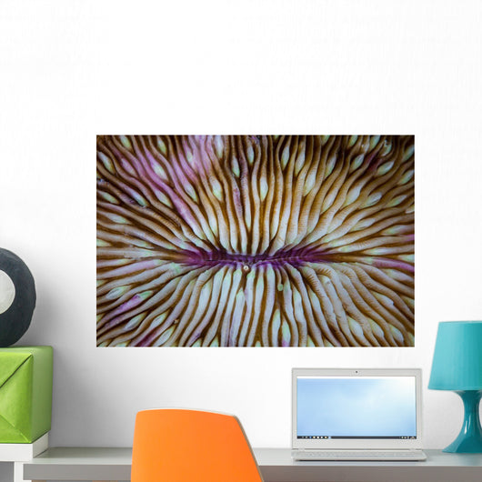 Detail Mushroom Coral Fungi Wall Decal Design 2