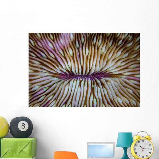 Detail Mushroom Coral Fungi Wall Decal Design 2