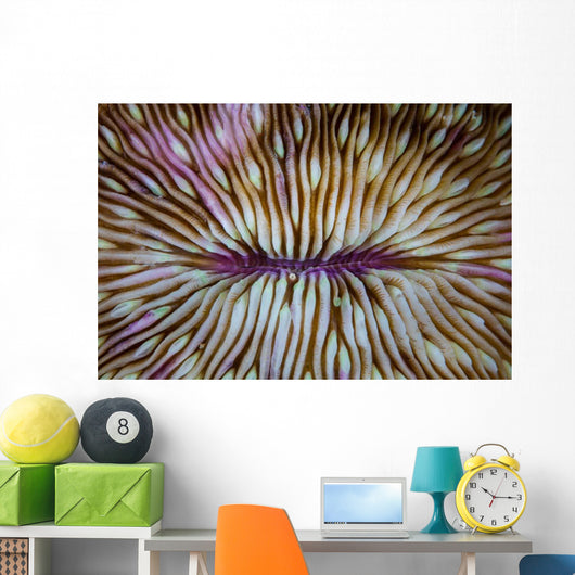 Detail Mushroom Coral Fungi Wall Decal Design 2
