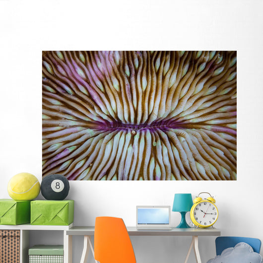 Detail Mushroom Coral Fungi Wall Decal Design 2