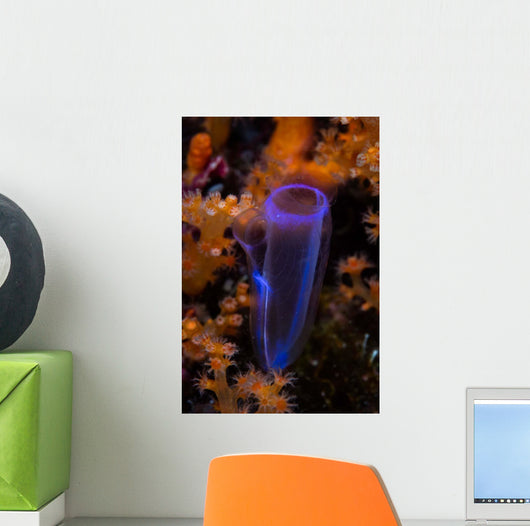 Delicate Tunicate Grows amid Wall Decal