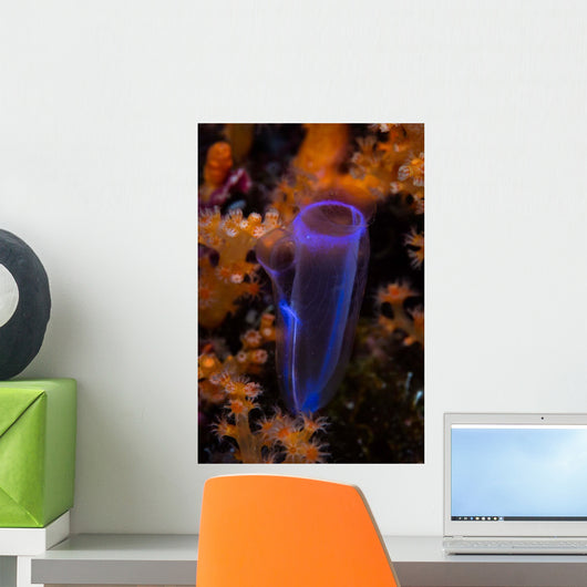 Delicate Tunicate Grows amid Wall Decal