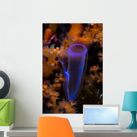 Delicate Tunicate Grows amid Wall Decal