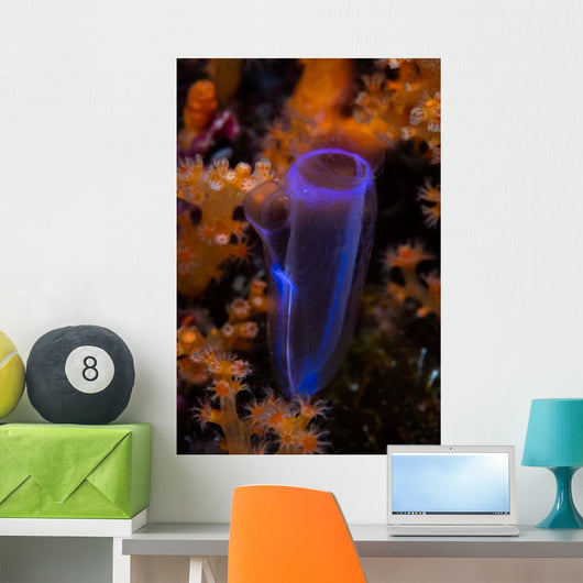 Delicate Tunicate Grows amid Wall Decal