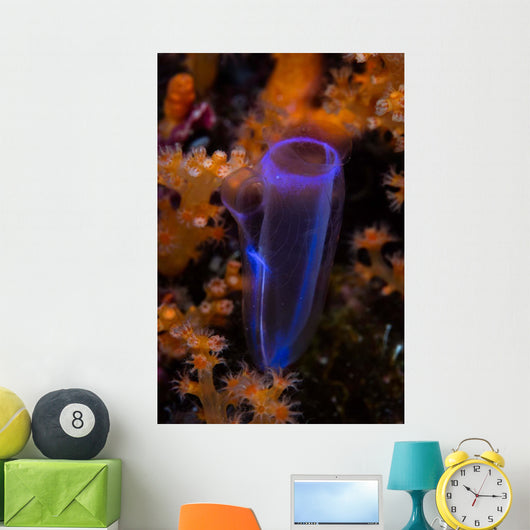 Delicate Tunicate Grows amid Wall Decal