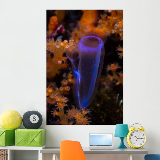 Delicate Tunicate Grows amid Wall Decal