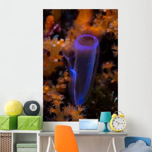 Delicate Tunicate Grows amid Wall Decal