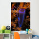 Delicate Tunicate Grows amid Wall Decal