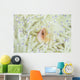 Pink Anemonefish Swims among Wall Decal Design 2