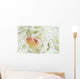Pink Anemonefish Swims among Wall Decal Design 1