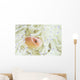 Pink Anemonefish Swims among Wall Decal Design 1