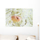 Pink Anemonefish Swims among Wall Decal Design 1
