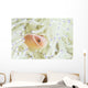 Pink Anemonefish Swims among Wall Decal Design 1