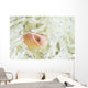 Pink Anemonefish Swims among Wall Decal Design 1