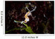 Pontohi Pygmy Seahorse Hippocampus Wall Decal Design 3