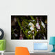 Pontohi Pygmy Seahorse Hippocampus Wall Decal Design 2