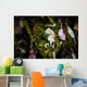 Pontohi Pygmy Seahorse Hippocampus Wall Decal Design 2