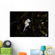Pontohi Pygmy Seahorse Hippocampus Wall Decal Design 1