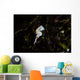 Pontohi Pygmy Seahorse Hippocampus Wall Decal Design 1