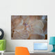 Translucent Shrimp Vir Philippinensis Wall Decal