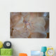 Translucent Shrimp Vir Philippinensis Wall Decal