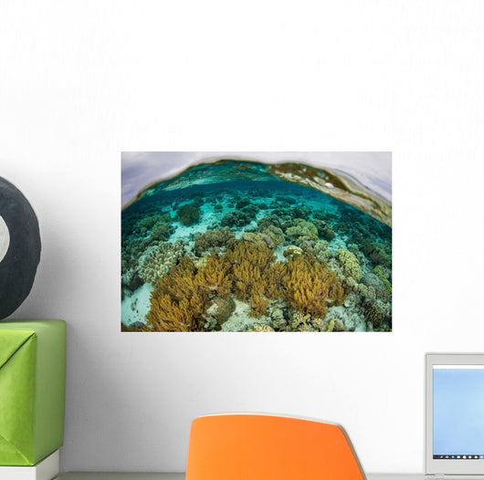 Shallow Coral Reef Thrives Wall Decal Design 2