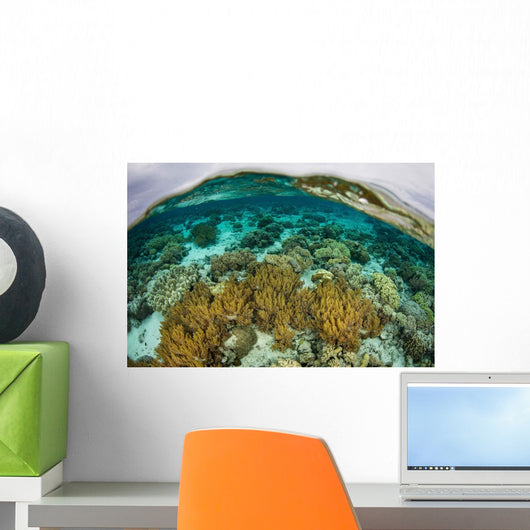 Shallow Coral Reef Thrives Wall Decal Design 2