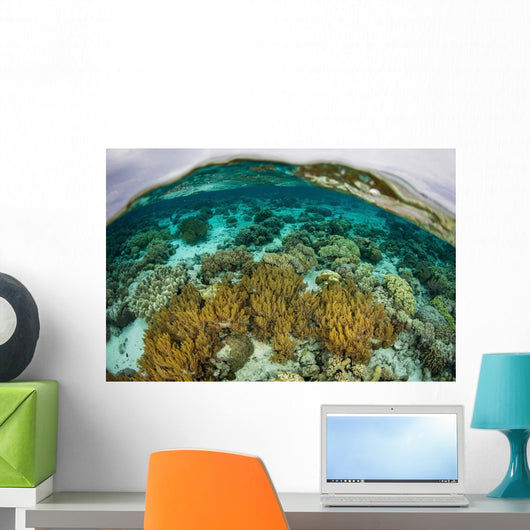Shallow Coral Reef Thrives Wall Decal Design 2