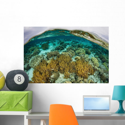 Shallow Coral Reef Thrives Wall Decal Design 2
