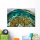 Shallow Coral Reef Thrives Wall Decal Design 2