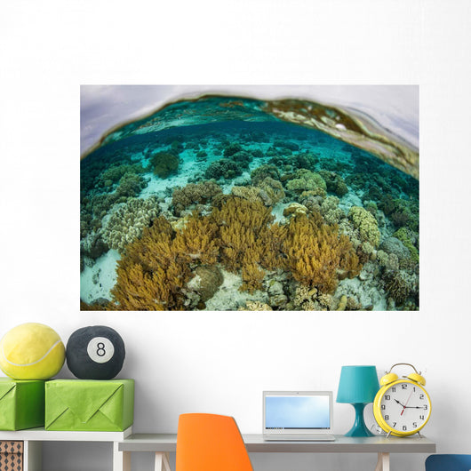 Shallow Coral Reef Thrives Wall Decal Design 2