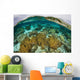 Shallow Coral Reef Thrives Wall Decal Design 2