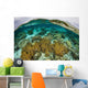 Shallow Coral Reef Thrives Wall Decal Design 2