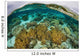 Shallow Coral Reef Thrives Wall Decal Design 2