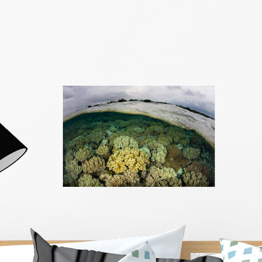 Shallow Coral Reef Thrives Wall Decal Design 1