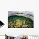Shallow Coral Reef Thrives Wall Decal Design 1