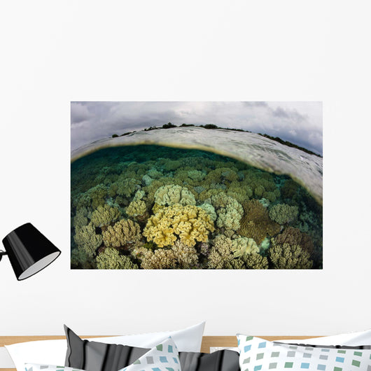 Shallow Coral Reef Thrives Wall Decal Design 1