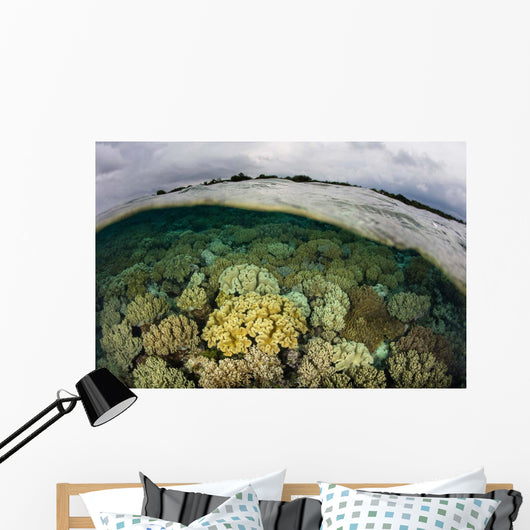 Shallow Coral Reef Thrives Wall Decal Design 1