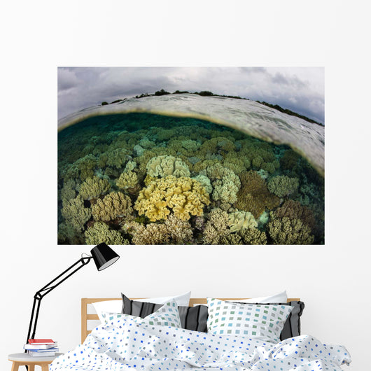 Shallow Coral Reef Thrives Wall Decal Design 1
