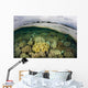 Shallow Coral Reef Thrives Wall Decal Design 1