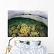 Shallow Coral Reef Thrives Wall Decal Design 1