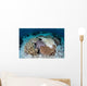 Crown-of-thorns Sea Star Feeds Wall Decal Design 2