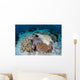 Crown-of-thorns Sea Star Feeds Wall Decal Design 2