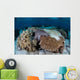Crown-of-thorns Sea Star Feeds Wall Decal Design 1