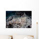 Large Crocodilefish Lies Wait Wall Decal Design 2