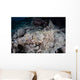 Large Crocodilefish Lies Wait Wall Decal Design 2