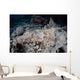 Large Crocodilefish Lies Wait Wall Decal Design 2