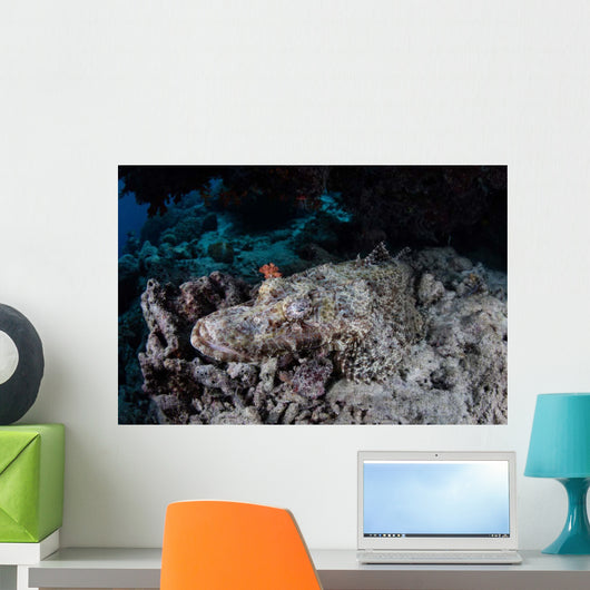 Large Crocodilefish Lies Wait Wall Decal Design 1